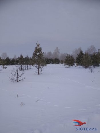 Земельный участок поселок Баженово в Анапе - anapa.yutvil.ru - фото 5